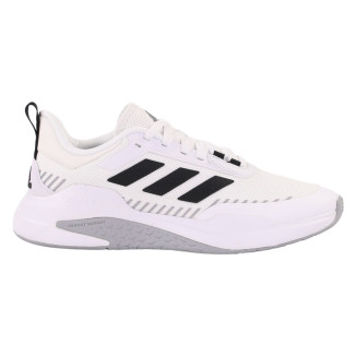Buty męskie adidas TRAINER V GX0733