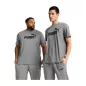 Odzież męska Koszulka Puma Ess No.1 Logo Tee M 682532 03