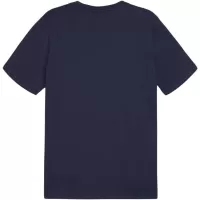 Odzież męska Koszulka Puma Team Goal Casuals Tee M 658615 06