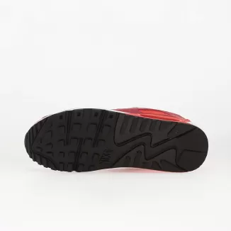 Buty męskie Nike Air Max 90 Peony