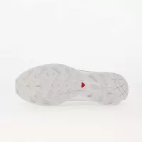 Buty unisex Salomon XT-6 GTX White/ Ftw Silver