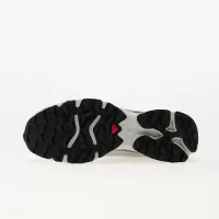 Buty męskie Salomon XT-4 OG Sharkskin Dawn Blue