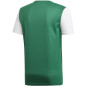 Koszulka dla dzieci adidas Estro 19 Jersey JUNIOR zielona DP3216/DP3238 Koszulka dla dzieci adidas Estro 19 Jersey JUNIOR zielona DP3216/DP3238