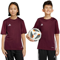 Koszulka dla dzieci adidas Tabela 23 Jersey bordowa IB4933