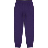 Spodnie męskie Champion Rub Cuff Pants fioletowe 220296 VS025